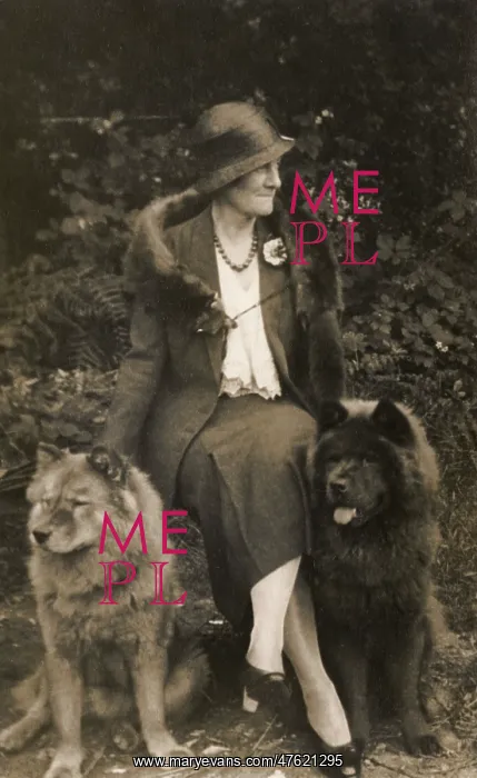  : Woman with two Samoyed dogs