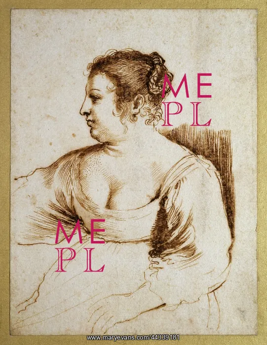 : A Woman Seated : A Woman Seated