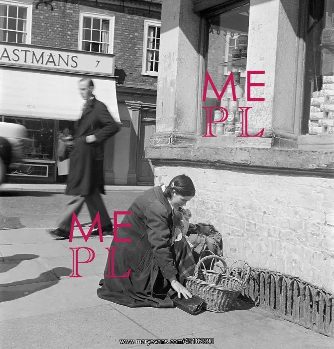 : Woman shopping : Woman shopping