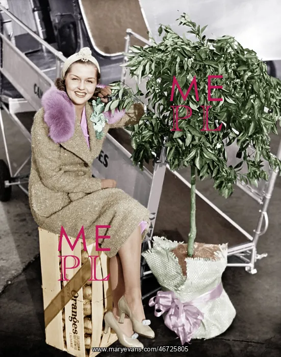 : Woman sitting on a crate of oranges next to a plane : Woman sitting on a crate of oranges next to a plane