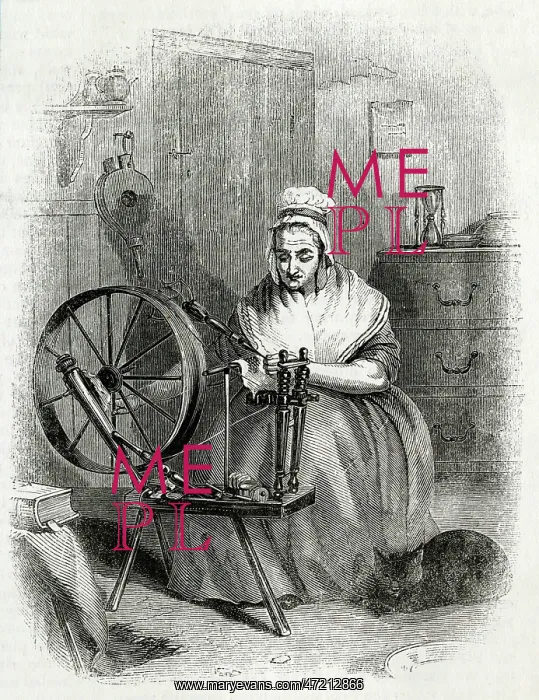 : Woman spinning on Saxony wheel : Woman spinning on Saxony wheel