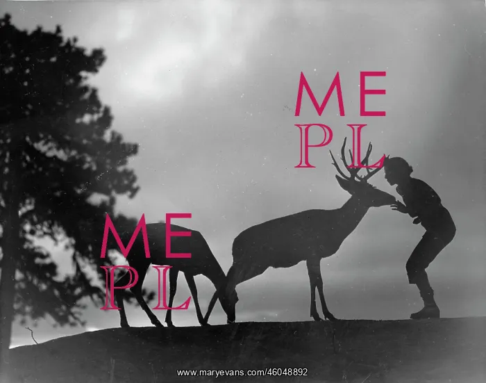 : Woman talking to deer : Woman talking to deer