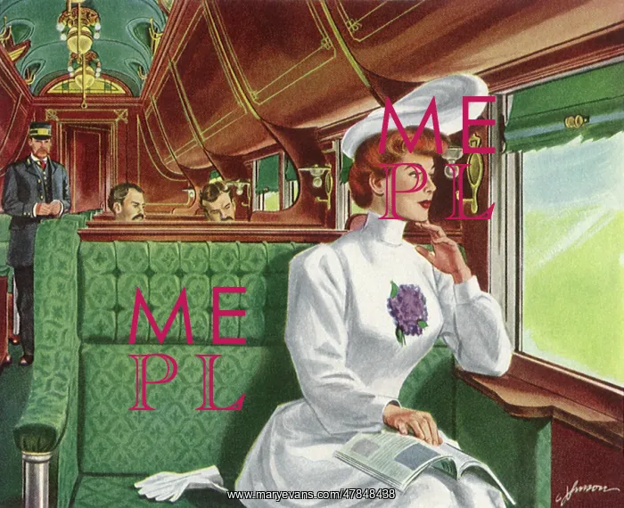 : Woman on a Train : Woman on a Train