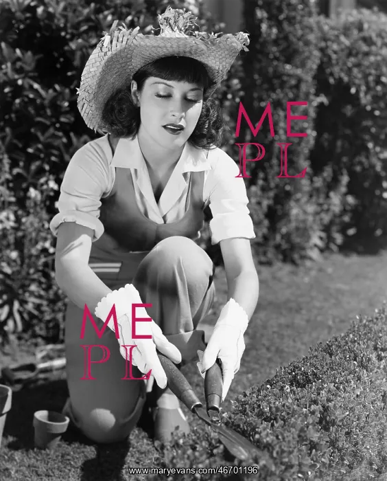  : Woman trimming hedge