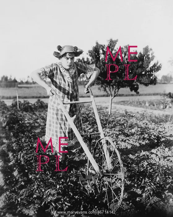 : Woman using walking plow in garden : Woman using walking plow in garden