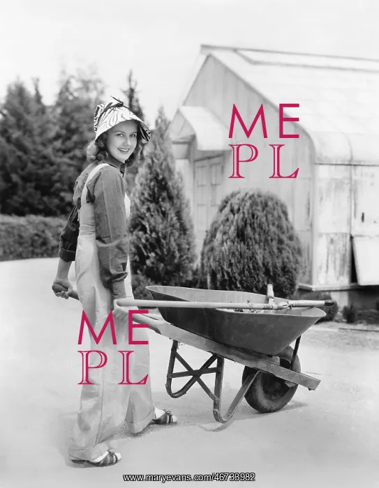 : Woman walking with a wheel barrel : Woman walking with a wheel barrel