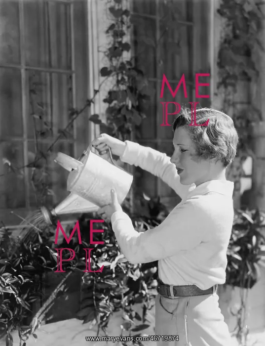  : Woman watering plants in window boxes