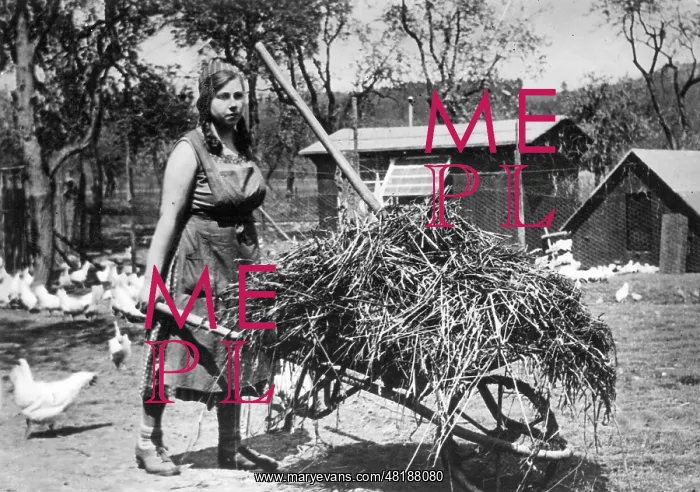 : Woman with wheelbarrow, 1933 : Woman with wheelbarrow, 1933