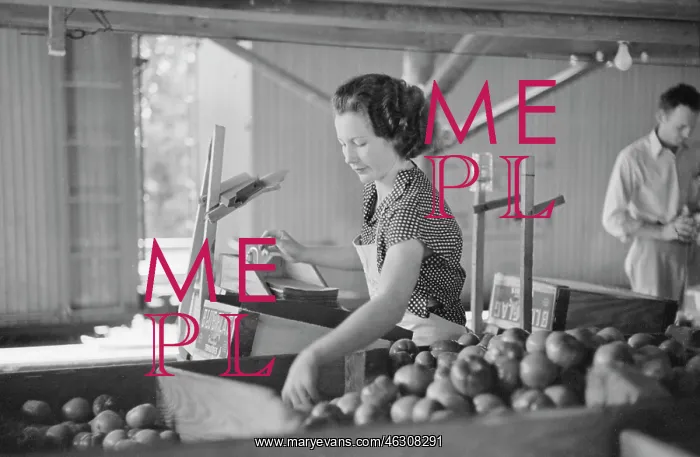 : Woman - Worker - Vegetables - Occupations : Woman - Worker - Vegetables - Occupations
