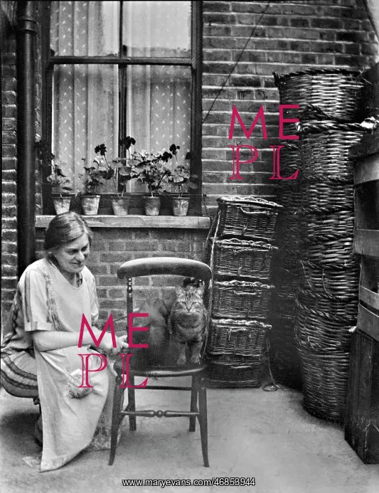: Woman in back yard with two cats : Woman in back yard with two cats