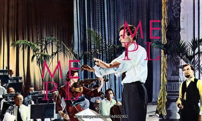  : The Woman'S Angle (1952)