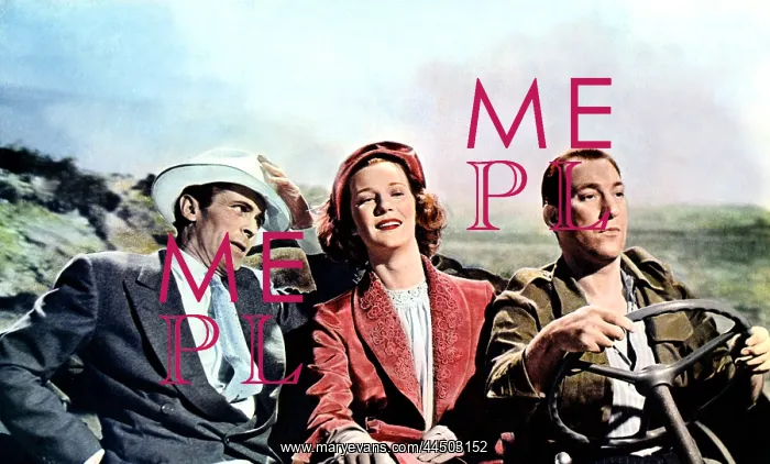  : The Woman'S Angle (1952)
