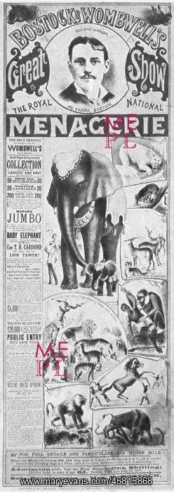 : WOMBWELL'S POSTER : WOMBWELL'S POSTER