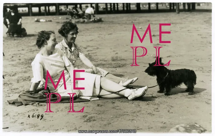 : Two women on beach with Scots terrier : Two women on beach with Scots terrier