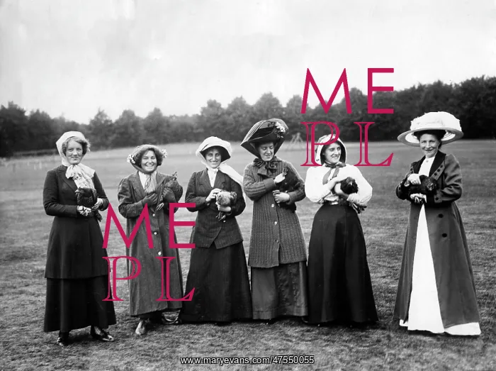: Six women in Chicken Stealing Competition : Six women in Chicken Stealing Competition