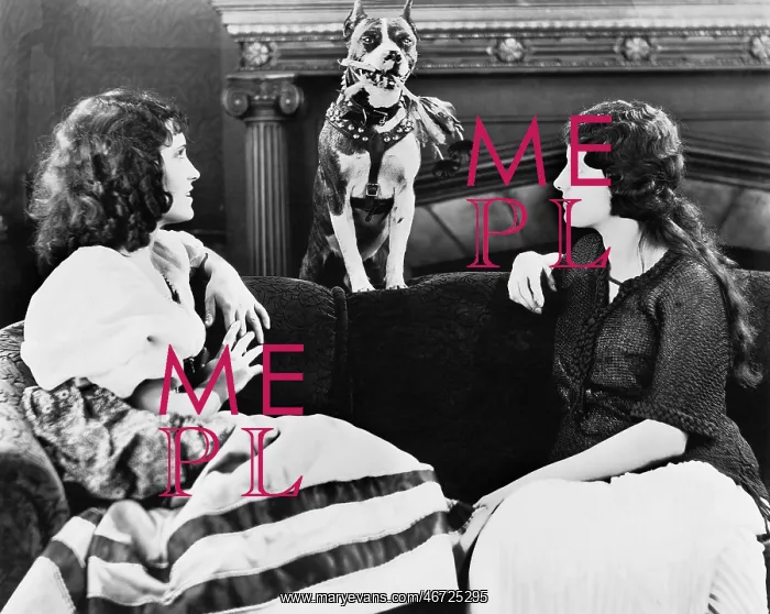 : Two women on couch with dog : Two women on couch with dog