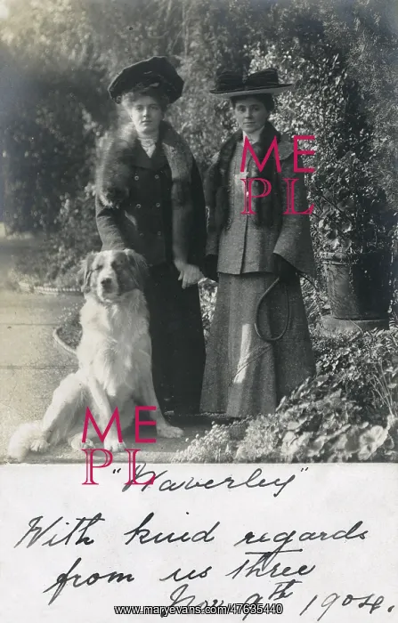 : Two women with a dog in a garden : Two women with a dog in a garden