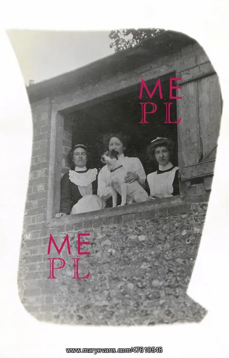 : Three women with a dog at an open window : Three women with a dog at an open window