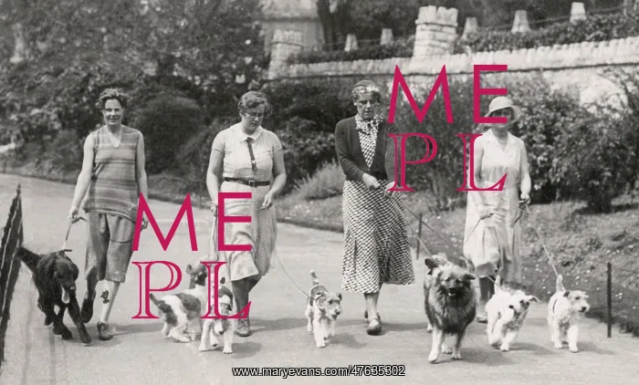  : Four women with dogs, Bournemouth