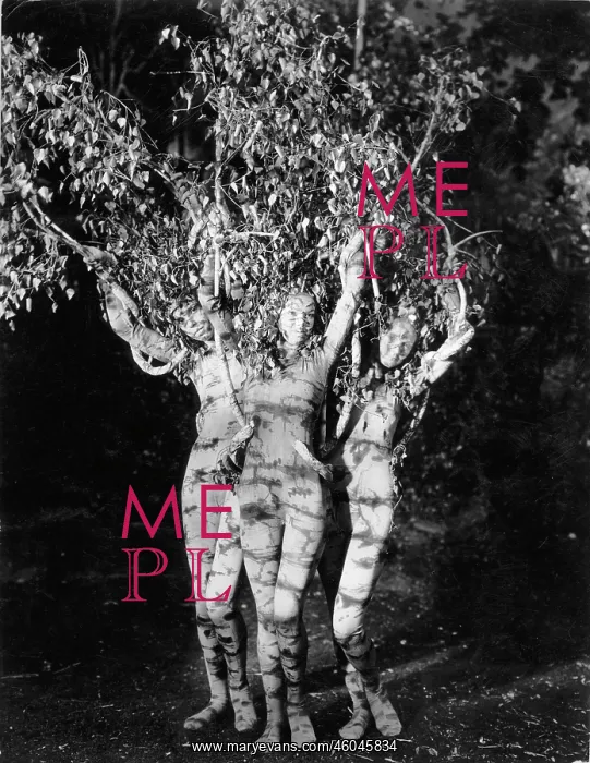 : Three women dressep up as a tree : Three women dressep up as a tree
