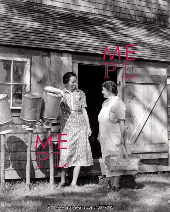 : Two Women Engaged in Conversation Standing Beside : Two Women Engaged in Conversation Standing Beside