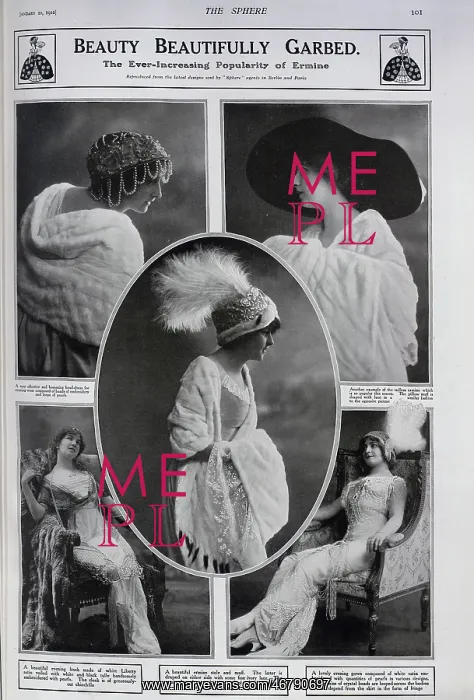 : Women in ermine : Women in ermine