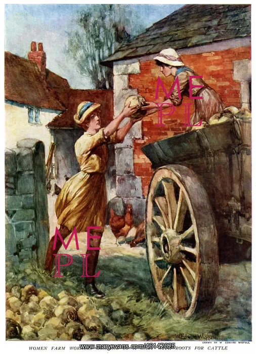 : Women farm workers loading a cart, May 1918 : Women farm workers loading a cart, May 1918