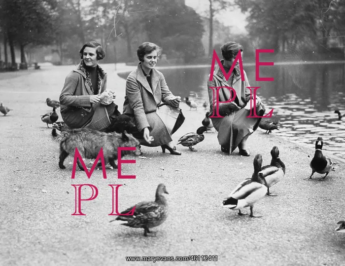 : Three women feed the ducks in Hyde Park : Three women feed the ducks in Hyde Park