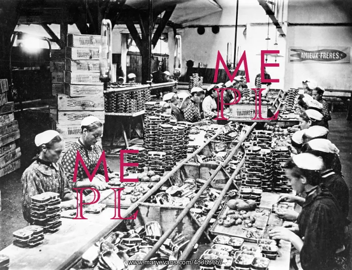 : Women in a fish cannery, 1905 : Women in a fish cannery, 1905