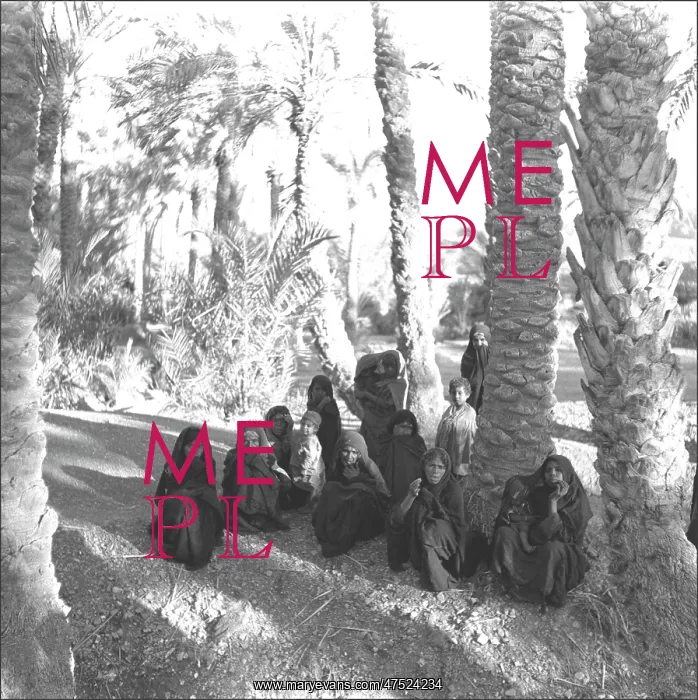 : Women gathered below palms - Iran : Women gathered below palms - Iran