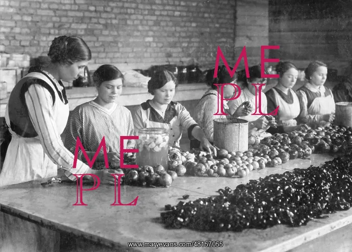 : Women and girls at fruit processing, 1917 : Women and girls at fruit processing, 1917