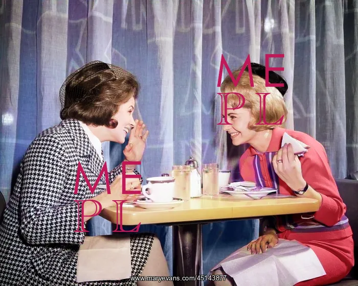: Two Women Gossiping at Lunch : Two Women Gossiping at Lunch