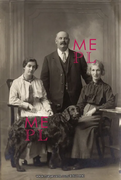 : Two women and a man with a Flat-Coated Retriever : Two women and a man with a Flat-Coated Retriever