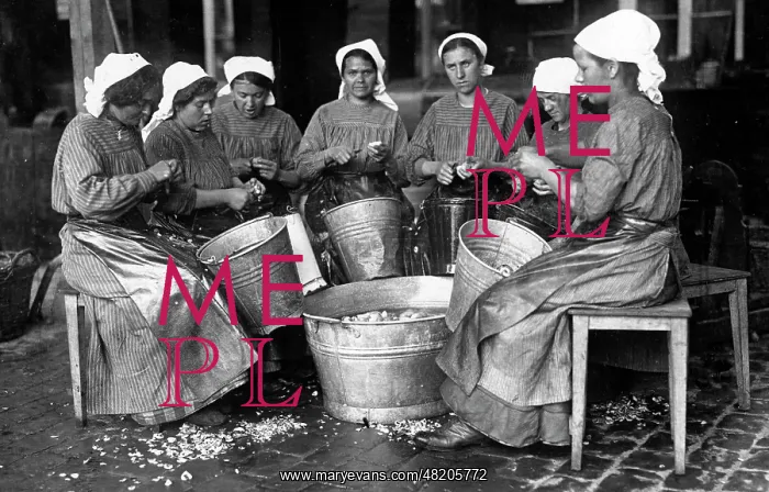 : Women peeling potatoes, 1916 : Women peeling potatoes, 1916