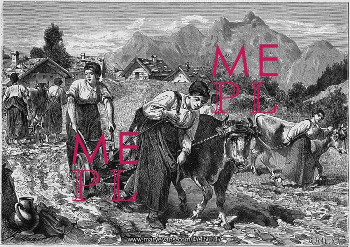 : WOMEN PLOUGHING : WOMEN PLOUGHING