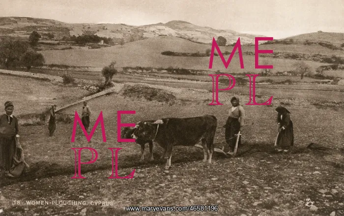 : Women Ploughing - Cyprus : Women Ploughing - Cyprus