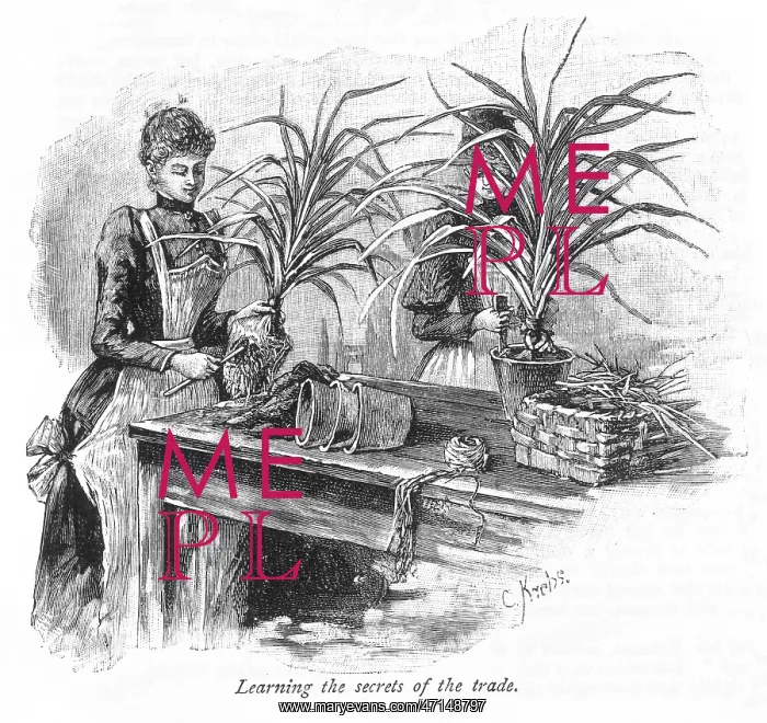 : Two women potting plants