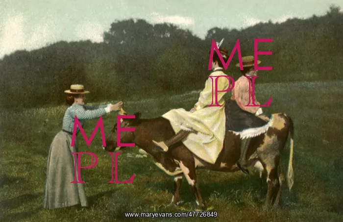  : Women Riding Cow