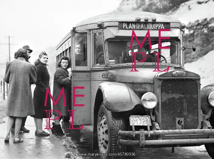: Women - Transportation - Occupations - Manufacturing : Women - Transportation - Occupations - Manufacturing