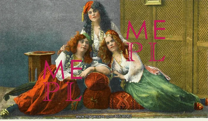 : Three women of the Turkish Harem : Three women of the Turkish Harem