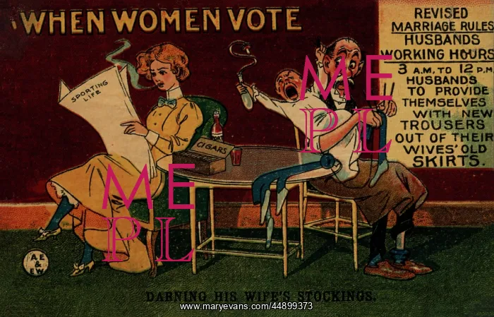 : When Women Vote Men Sewing : When Women Vote Men Sewing