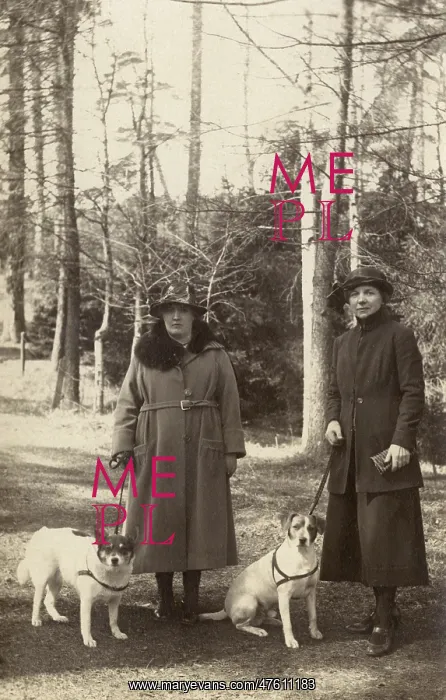  : Two women out walking with dogs