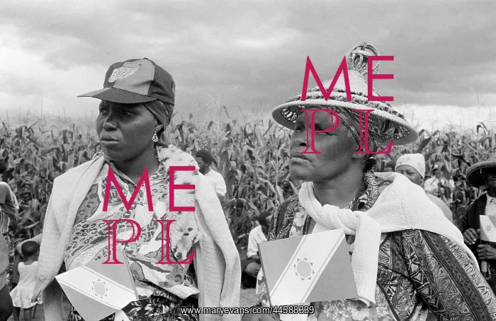 : Two women walking through the maize / corn / mealies : Two women walking through the maize / corn / mealies