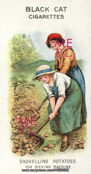 : Women on War Work WW1 : Women on War Work WW1