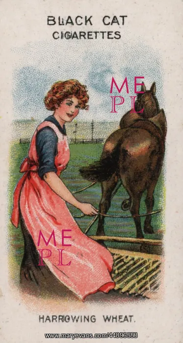 : Women on War Work WW1 : Women on War Work WW1