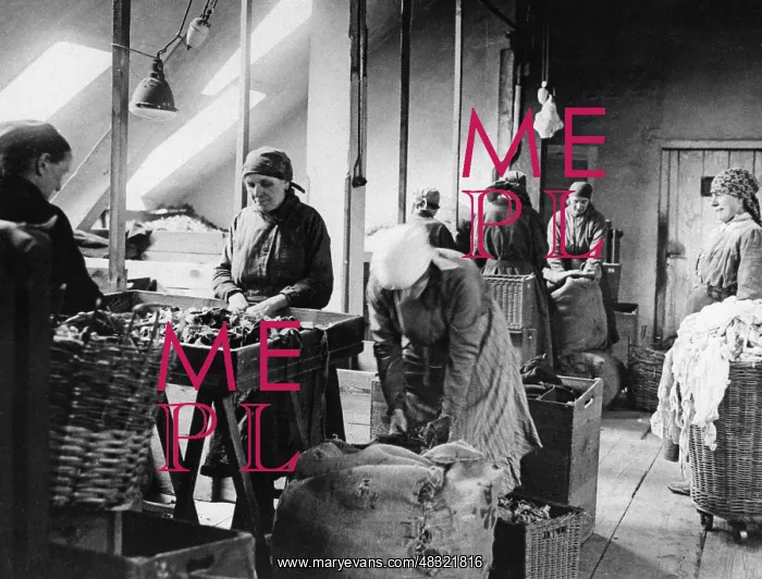 : Women workers in Berlin, 1930 : Women workers in Berlin, 1930