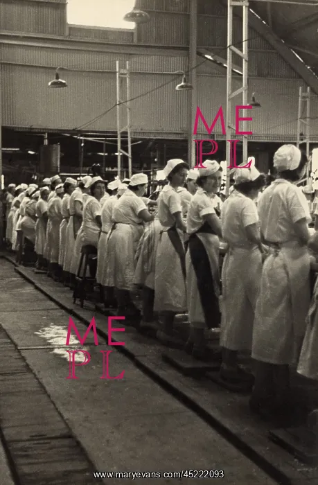 : Women working in a grapefruit canning factory ? : Women working in a grapefruit canning factory ?