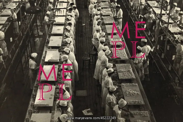 : Women working in a grapefruit canning factory ? : Women working in a grapefruit canning factory ?