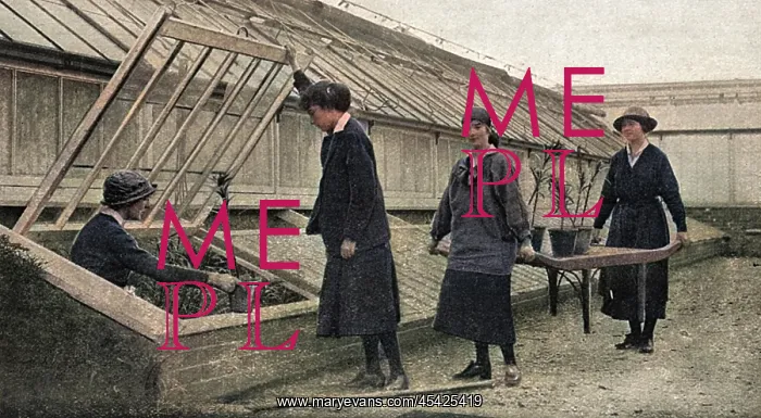 : Women working in the hothouses at Windsor, WW1 : Women working in the hothouses at Windsor, WW1
