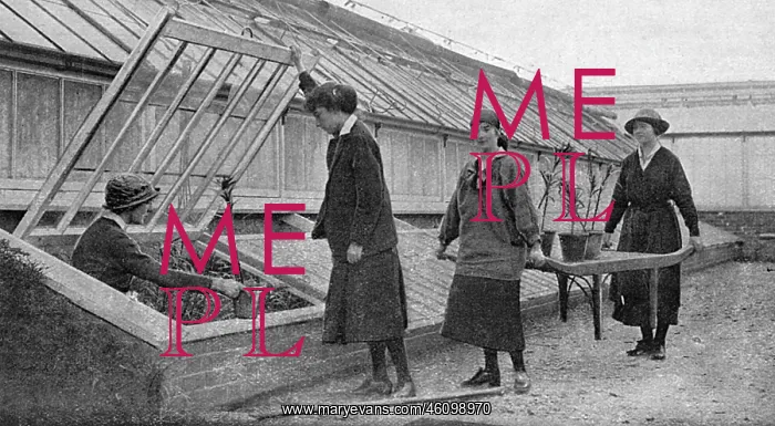 : Women working in the hothouses at Windsor, WW1 : Women working in the hothouses at Windsor, WW1